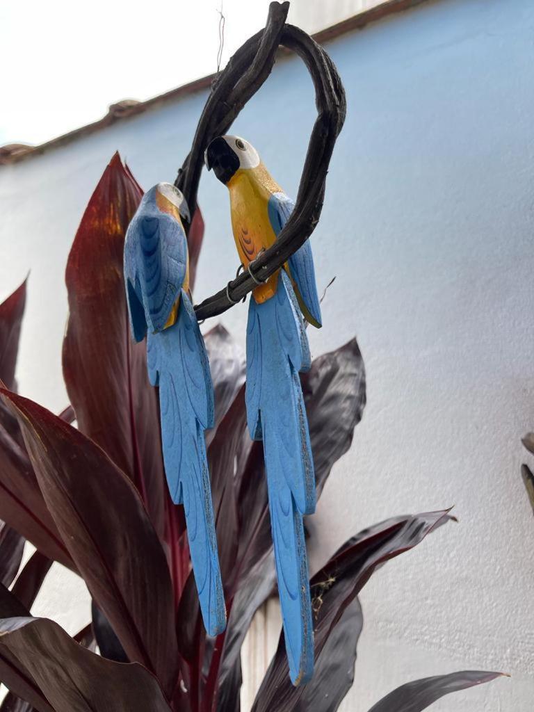 Chales Camburi เซา เซบัสเชียว ภายนอก รูปภาพ